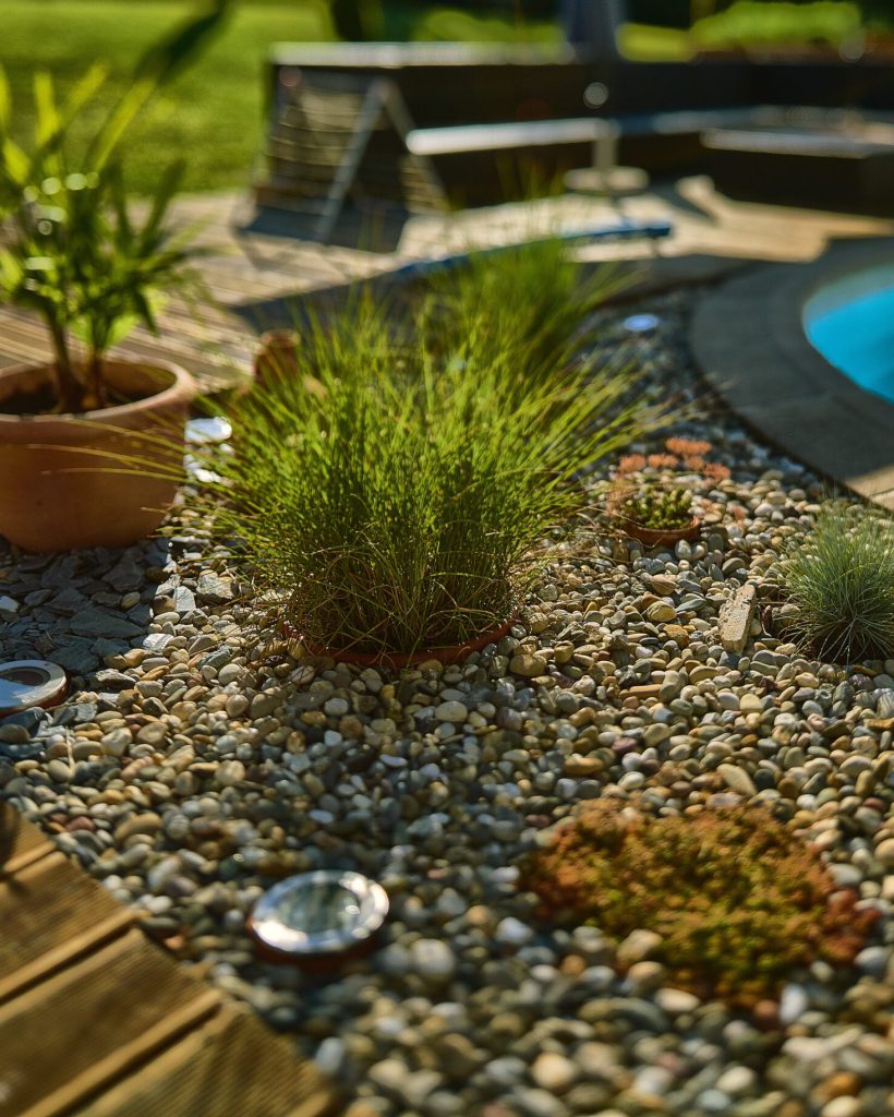 A close shot of plants near a pool with a blurred background