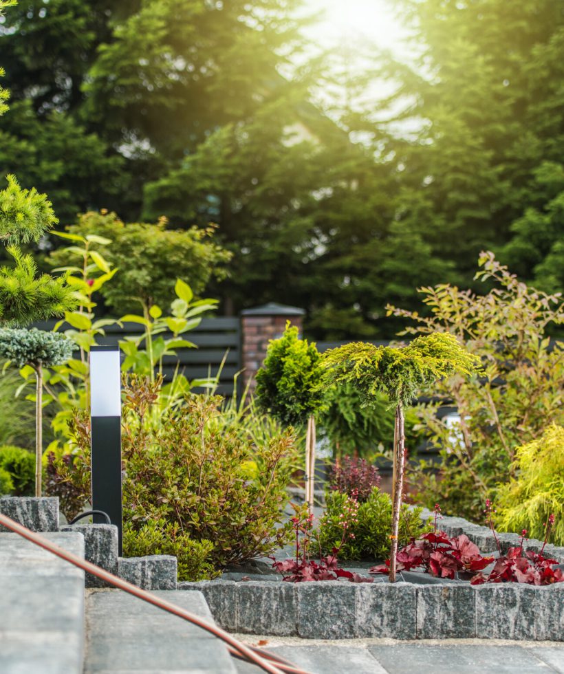 Beautifully Landscaped Backyard Garden Decorated with Ornamental Trees, Flowers and Bushes. Professional Landscaping and Gardening Theme.